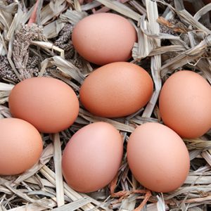 Huevos De Gallina Criadas en Libertad "Castro Serantes"